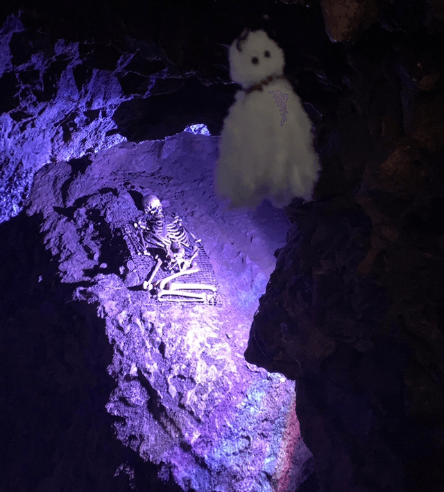 Halloween Ghosts