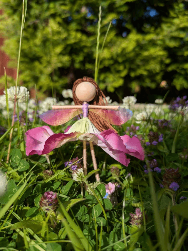 Pink Petaled Pixie
