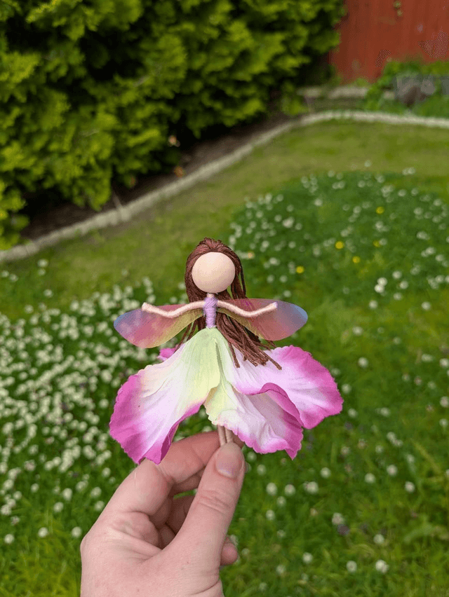 Pink Petaled Pixie