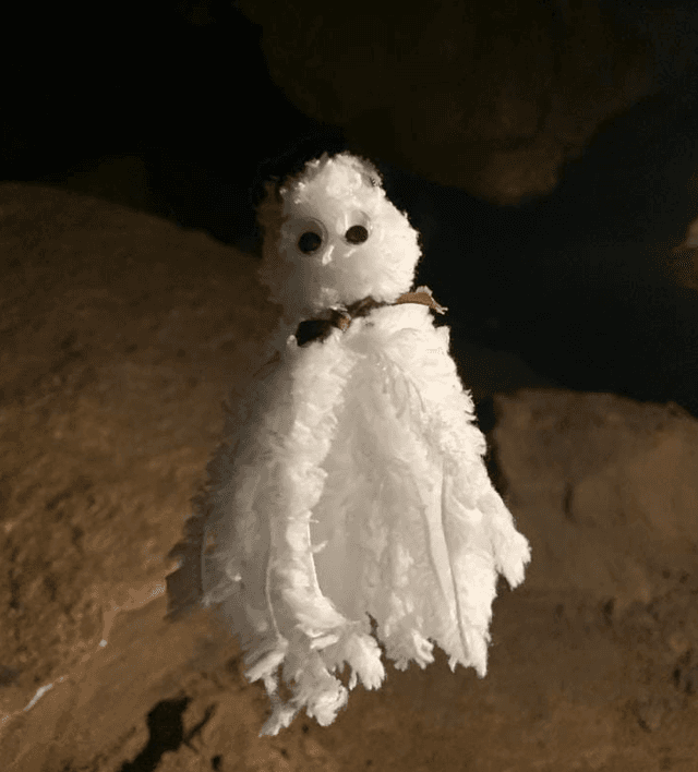 Halloween Ghosts